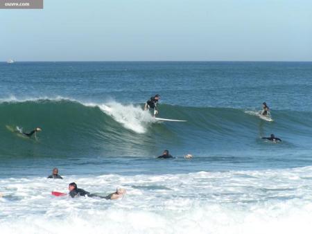 colo surf